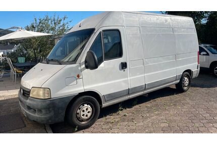 Fiat Ducato Gebrauchtwagen