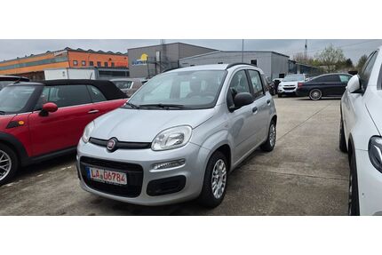 Fiat Panda Gebrauchtwagen