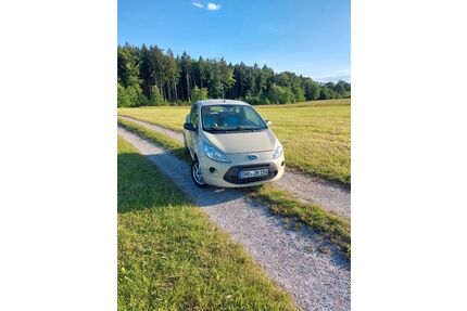 Ford Ka/Ka+ Gebrauchtwagen