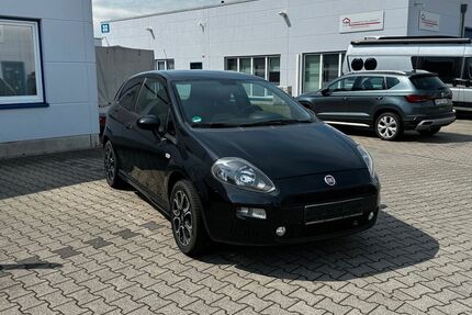 Fiat Punto Gebrauchtwagen