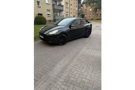 Tesla Model Y Gebrauchtwagen