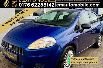 Fiat Punto Gebrauchtwagen