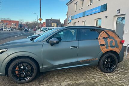 Cupra Terramar Gebrauchtwagen