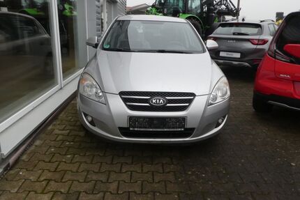 Kia ceed / Ceed Gebrauchtwagen