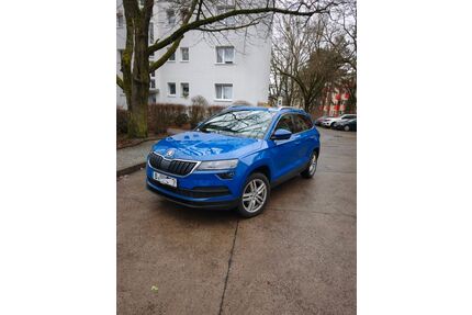 Skoda Karoq Gebrauchtwagen