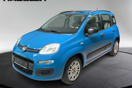 Fiat Panda Gebrauchtwagen