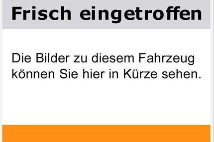 Ford Tourneo Custom Gebrauchtwagen