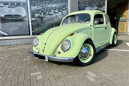 VW Käfer Gebrauchtwagen