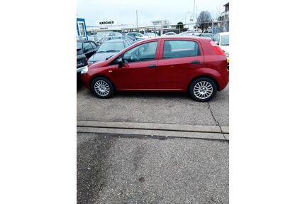 Fiat Punto Gebrauchtwagen
