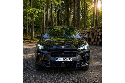 Cupra Terramar Gebrauchtwagen