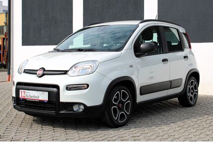 Fiat Panda Gebrauchtwagen
