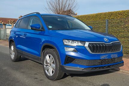 Skoda Karoq Gebrauchtwagen