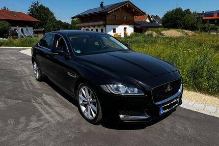 Jaguar XF Gebrauchtwagen