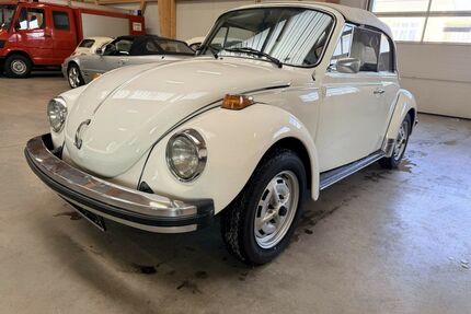 VW Käfer Gebrauchtwagen