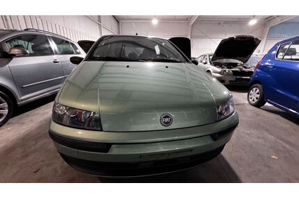 Fiat Punto Gebrauchtwagen