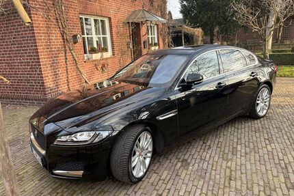 Jaguar XF Gebrauchtwagen