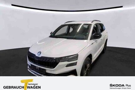 Skoda Karoq Gebrauchtwagen