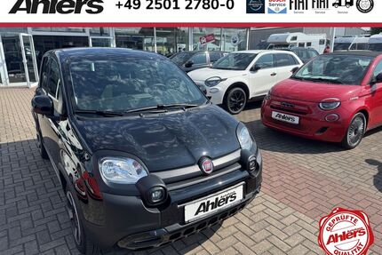Fiat Panda Gebrauchtwagen