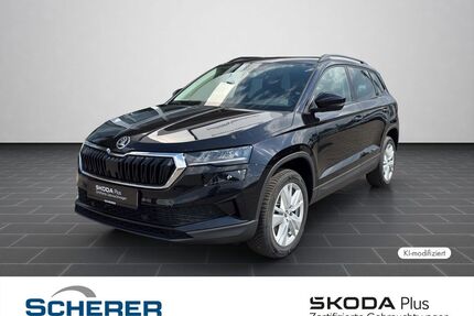 Skoda Karoq Gebrauchtwagen