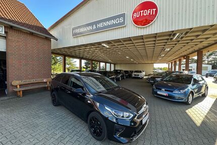 Kia ceed / Ceed Gebrauchtwagen
