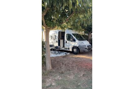 Fiat Ducato Gebrauchtwagen