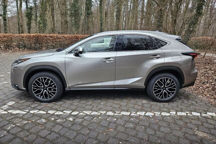 Lexus NX 300 Gebrauchtwagen