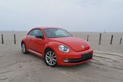 VW Beetle Gebrauchtwagen