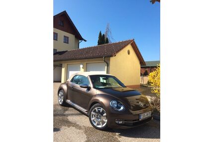 VW Beetle Gebrauchtwagen