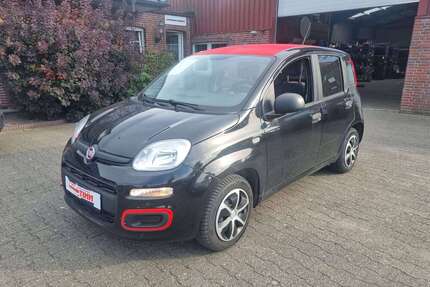 Fiat Panda Gebrauchtwagen