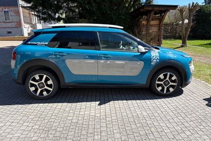 Citroen C4 Cactus Gebrauchtwagen
