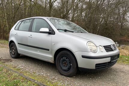 VW Polo Gebrauchtwagen