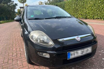 Fiat Punto Gebrauchtwagen