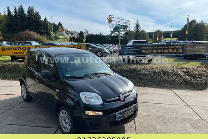 Fiat Panda Gebrauchtwagen
