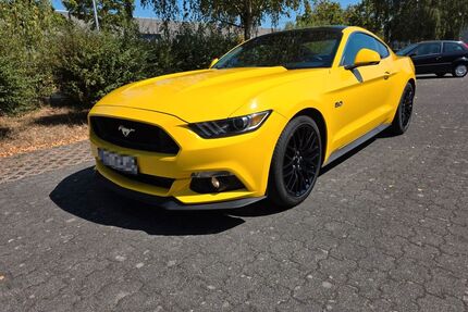 Ford Mustang Gebrauchtwagen