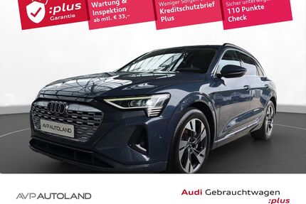Audi Q8 e-tron Gebrauchtwagen