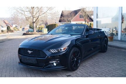 Ford Mustang Gebrauchtwagen