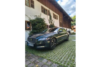 Jaguar XF Gebrauchtwagen