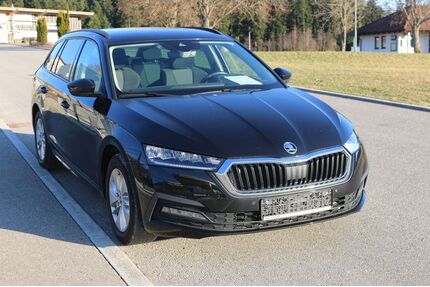 Skoda Octavia Gebrauchtwagen
