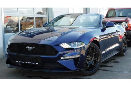 Ford Mustang Gebrauchtwagen