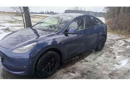Tesla Model Y Gebrauchtwagen