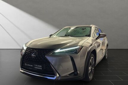 Lexus UX Gebrauchtwagen
