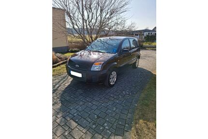 Ford Fusion Gebrauchtwagen