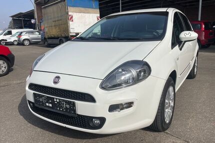 Fiat Punto Gebrauchtwagen