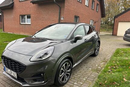 Ford Puma Gebrauchtwagen