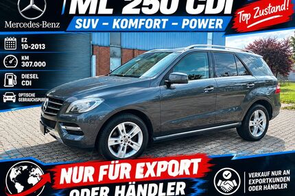 Mercedes-Benz ML 250 Gebrauchtwagen