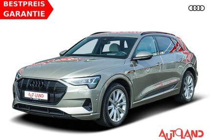 Audi e-tron Gebrauchtwagen