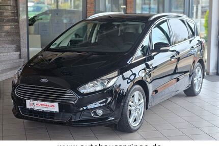 Ford S-Max Gebrauchtwagen