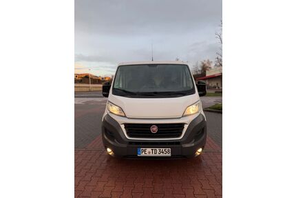 Fiat Ducato Gebrauchtwagen