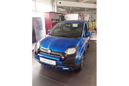Fiat Panda Gebrauchtwagen