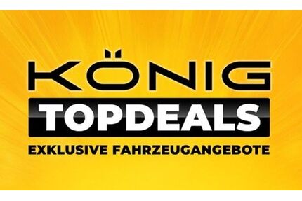 Dacia Spring Gebrauchtwagen